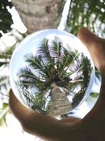 photographie de boule de cristal de palmier vert photo