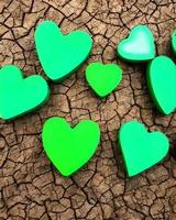 forme de coeur d'amour de couleur verte photo