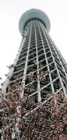 tokyo, japon en juillet 2019. tokyo sky tree anciennement la nouvelle tour de tokyo est une tour de diffusion, d'observation et de restaurant à sumida photo