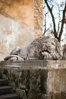 ukraine, lviv, sculpture de lion historique, symbole de la ville. photo