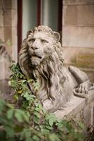 ukraine, lviv, sculpture de lion historique, symbole de la ville. photo