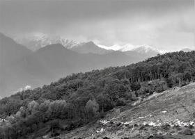 paysage en niveaux de gris d'arbres avec des montagnes de l'himalaya photo