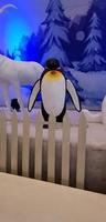 un seul pingouin au festival d'hiver photo