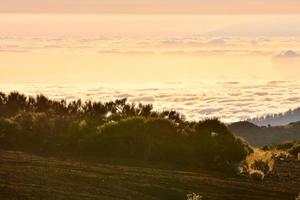 vue panoramique sur le coucher du soleil photo