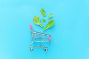 écologie produits écologiques aliments santé concept végétarien végétalien. petit chariot d'épicerie de supermarché pour faire du shopping avec des feuilles de laitue verte isolées sur fond bleu pastel coloré. espace de copie. photo