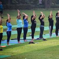 new delhi, inde, 18 juin 2022 - cours de yoga en groupe surya namaskar pour personnes d'âge différent dans le jardin lodhi, journée internationale du yoga, grand groupe d'adultes assistant à un cours de yoga dans le parc photo