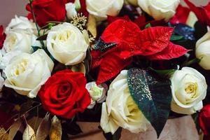 roses blanches et rouges photo