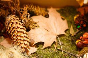 belle nature morte pour le jour de thanksgiving maison de vacances fond naturel abstrait carte de voeux sec photo