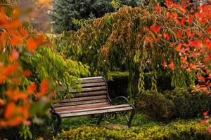 des bancs se tiennent dans le parc d'automne pendant la journée photo