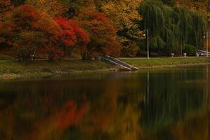 arbres d'automne colorés reflétés dans le petit étang photo