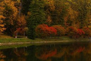 arbres d'automne colorés reflétés dans le petit étang photo