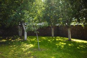 Maison & Jardin. jardin résidentiel passant du printemps à l'été. photo