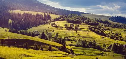 belle journée ensoleillée est dans un paysage de montagne. carpates, ukraine. photo