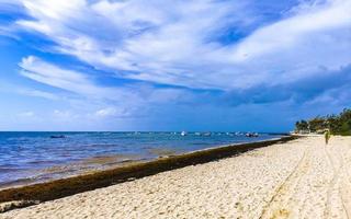 belle plage des caraïbes totalement sale sale méchant problème d'algues mexique. photo