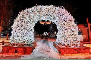 arcs en bois de cerf dans le trou de jackson photo