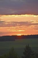 un beau coucher de soleil et un horizon avec une forêt. un beau champ et un coucher de soleil rouge d'été. photo