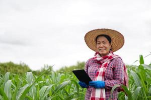 portrait d'une agricultrice asiatique porte un chapeau, une chemise à carreaux, tient une tablette intelligente au jardin de maïs. concept, recherche agricole. agriculteur intelligent. utiliser la technologie pour gérer et développer les cultures.