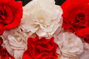 roses artificielles rouges blanches. les objets se bouchent.