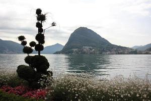 dans un parc au bord du lac de garde en italie. photo