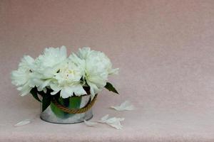 beau bouquet de pivoines laiteuses légères dans une boîte en métal arrondie isolée sur fond rose avec espace libre pour le texte, image horizontale pour carte de voeux, papier peint, calendrier, affiche, carte postale de printemps photo