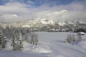 belle journée dans les montagnes norvégiennes avec forêt couverte de neige près de hemsedal, impression pour la conception de la couverture, papier peint, toile, brochure photo