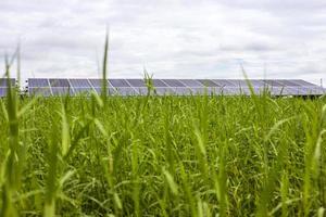 un angle bas regardant à travers l'herbe verte fraîche, un premier plan flou, une multitude de panneaux solaires. photo