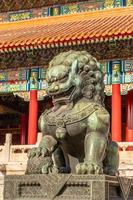 lion gardien chinois ou statue de shishi de l'époque de la dynastie ming, à l'entrée du palais de la cité interdite, beijing, chine photo