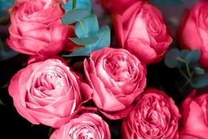 délicates roses roses. fond de carte postale. viva magenta couleur de l'année 2023. photo