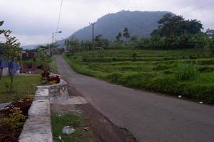 paysage routier avec vue sur la colline et champs de jardin photo