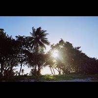 soleil sur la plage tropicale photo