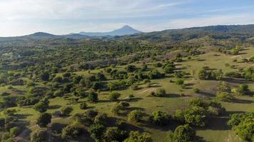 la vue du haut de la colline verdoyante photo