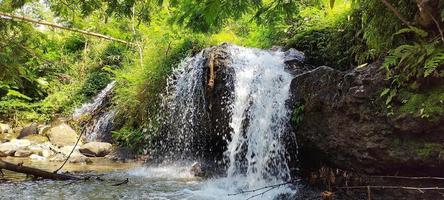 mini cascade dans une rivière naturelle avec de gros rochers et des plantes vertes sur les berges. photo