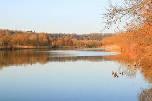 lac d'automne avec des roseaux secs photo