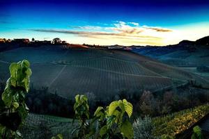 paysages des langhe piémontaises les vignobles les couleurs vives de l'automne près d'alba photo