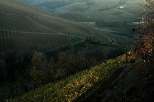 paysages des langhe piémontaises les vignobles les couleurs vives de l'automne près d'alba photo
