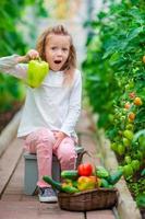 petite fille ramassant des concombres et des tomates en serre. portrait d'enfant avec gros poivron vert doux dans les mains. le temps de récolter. photo