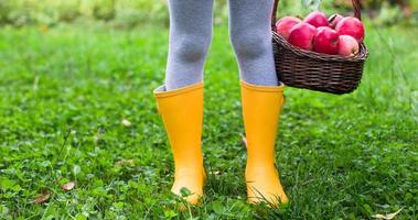 gros plan du panier avec des pommes rouges et des bottes en caoutchouc sur la petite fille photo