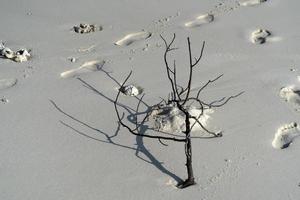 Déchets sur la plage de sable paradisiaque de l'île tropicale photo