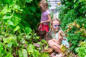 de jolies petites filles ramassent des concombres de culture dans la serre photo