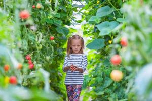 adorable petite fille ramassant des concombres et des tomates en serre photo