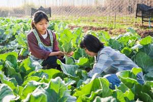 deux femmes cueillant des légumes dans le jardin photo