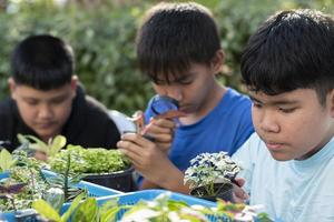 un groupe de jeunes garçons asiatiques tient une loupe et des plantes en pot et regarde à travers l'objectif pour étudier les espèces végétales et faire des travaux de projet, concept d'apprentissage en classe en plein air, mise au point douce et sélective. photo
