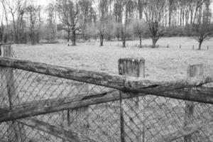 clôture de passage dans le pré photo