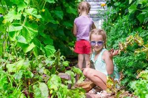 mignonnes petites filles ramassant des concombres de culture en serre photo