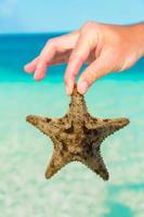 sable blanc tropical avec des étoiles de mer dans les mains fond la mer photo