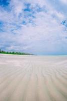 plage tropicale idyllique dans les caraïbes avec sable blanc, eau de mer turquoise et ciel bleu photo