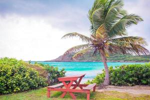 plage de sable blanc parfaite avec eau turquoise et grand palmier photo