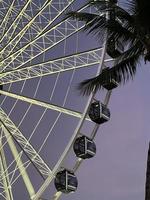 grande roue dans le parc au centre-ville de miami au coucher du soleil photo