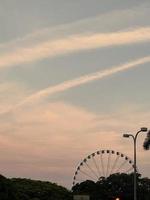 grande roue dans le parc au centre-ville de miami au coucher du soleil photo