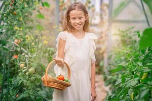 adorable fille récoltant des concombres et des tomates en serre. portrait d'enfant avec panier de légumes photo